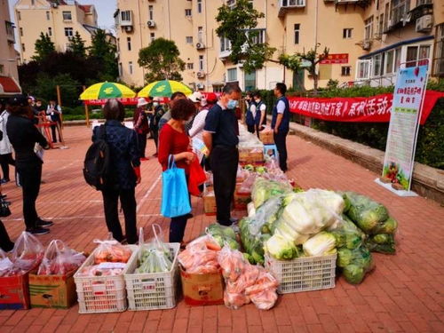 青島市南湛山社區 半小時售罄3000斤！新鮮蔬果進社區，助農惠企利民見實效