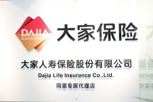 大家人壽保險專屬代理店網(wǎng)絡布局及廣告設計策略